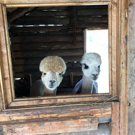 Daire Oberstockerhof *