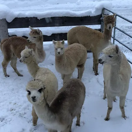 Oberstockerhof Sankt Johann im Pongau