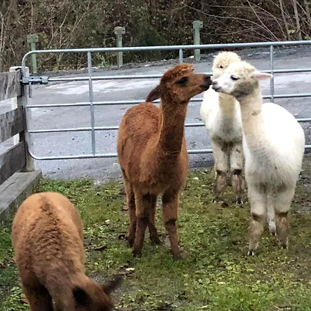 Oberstockerhof * Sankt Johann im Pongau